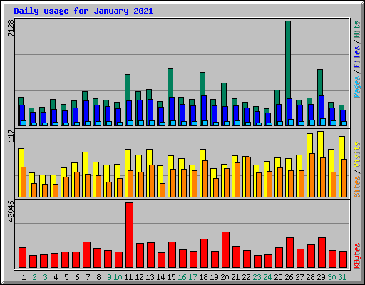 Daily usage for January 2021