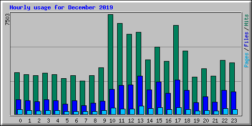 Hourly usage for December 2019