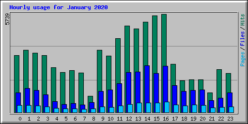 Hourly usage for January 2020