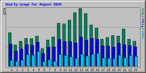 Hourly usage for August 2020