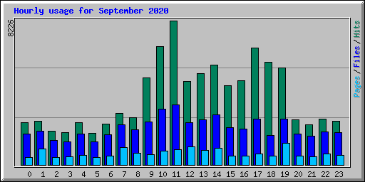 Hourly usage for September 2020