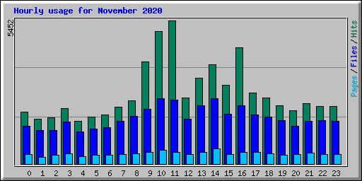 Hourly usage for November 2020