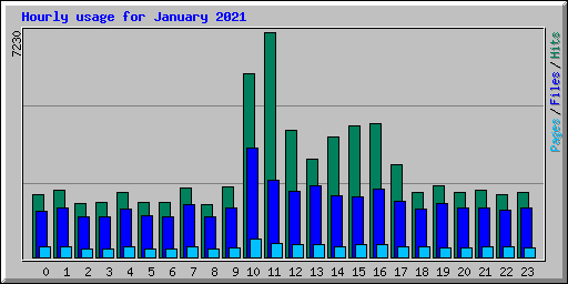 Hourly usage for January 2021