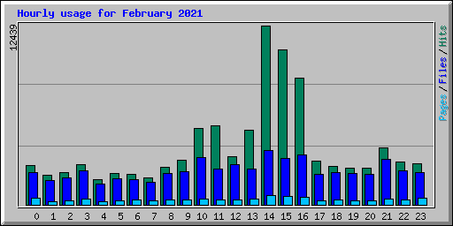 Hourly usage for February 2021