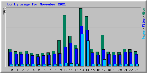 Hourly usage for November 2021
