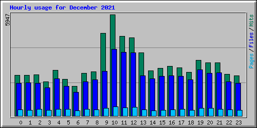 Hourly usage for December 2021